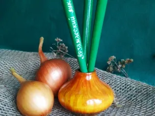 Проект «Арзамасский лук» завоевал победу в конкурсе «Культурное наследие глазами молодых: новые туристические магниты России»